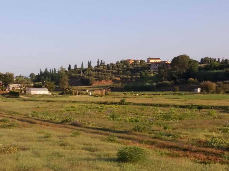 Podere Gian Battaglia 푸체키오 외부 사진