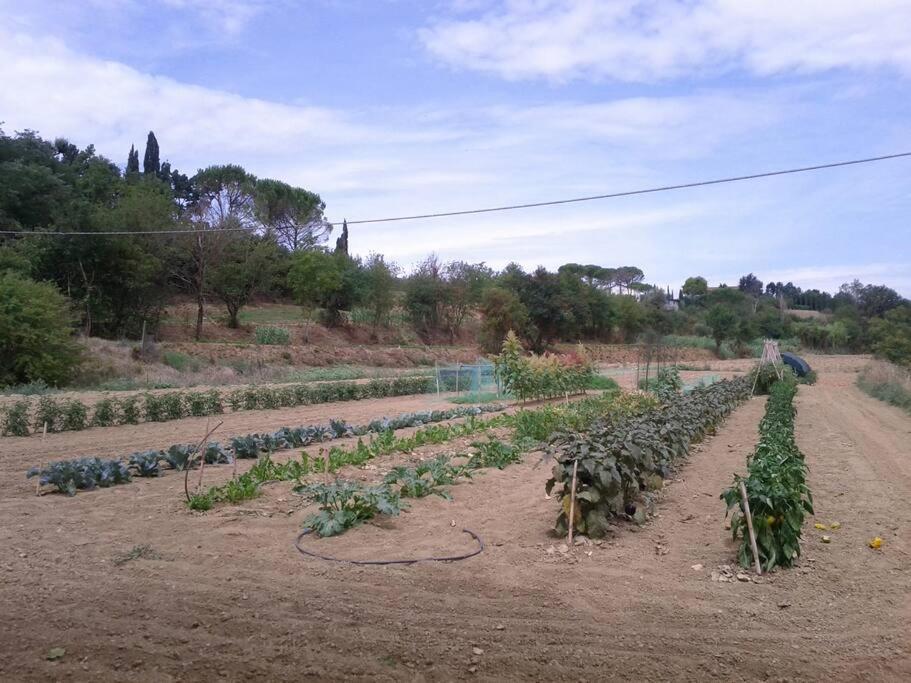 Podere Gian Battaglia 푸체키오 외부 사진