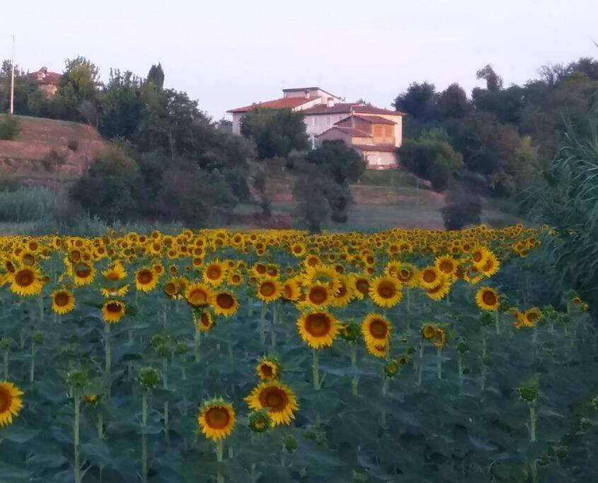 Podere Gian Battaglia 푸체키오 외부 사진