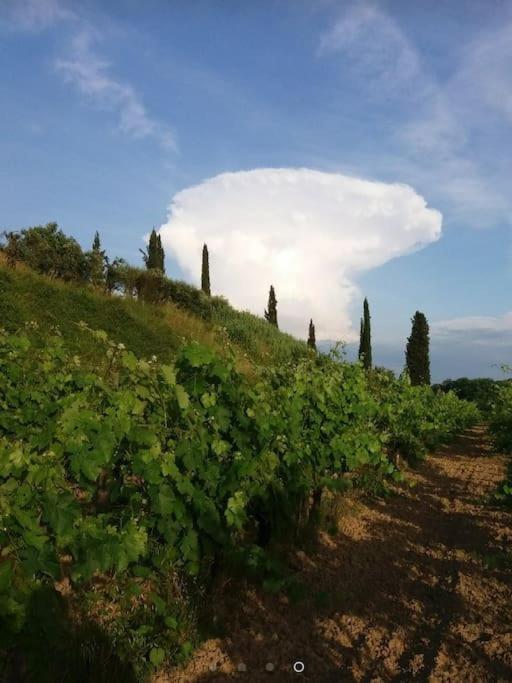 Podere Gian Battaglia 푸체키오 외부 사진