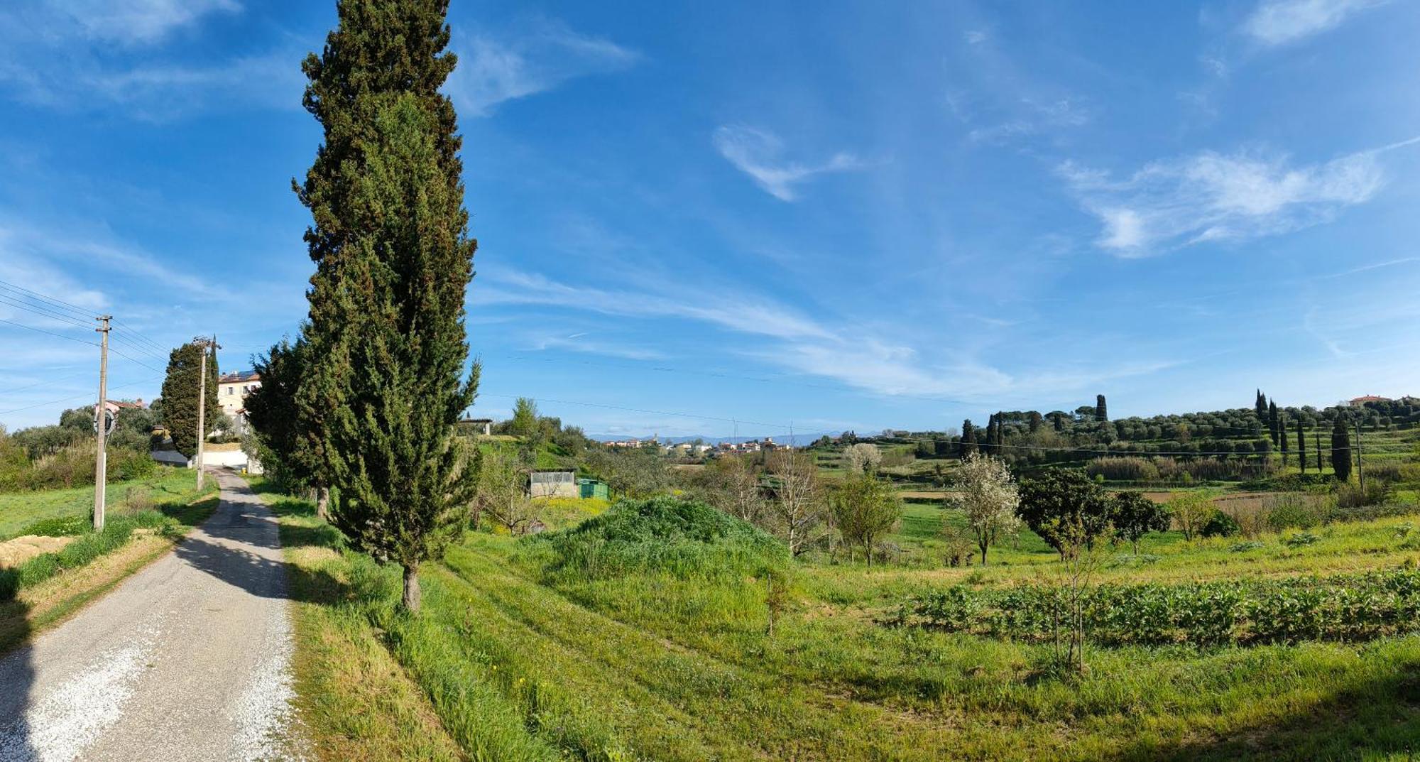 Podere Gian Battaglia 푸체키오 외부 사진