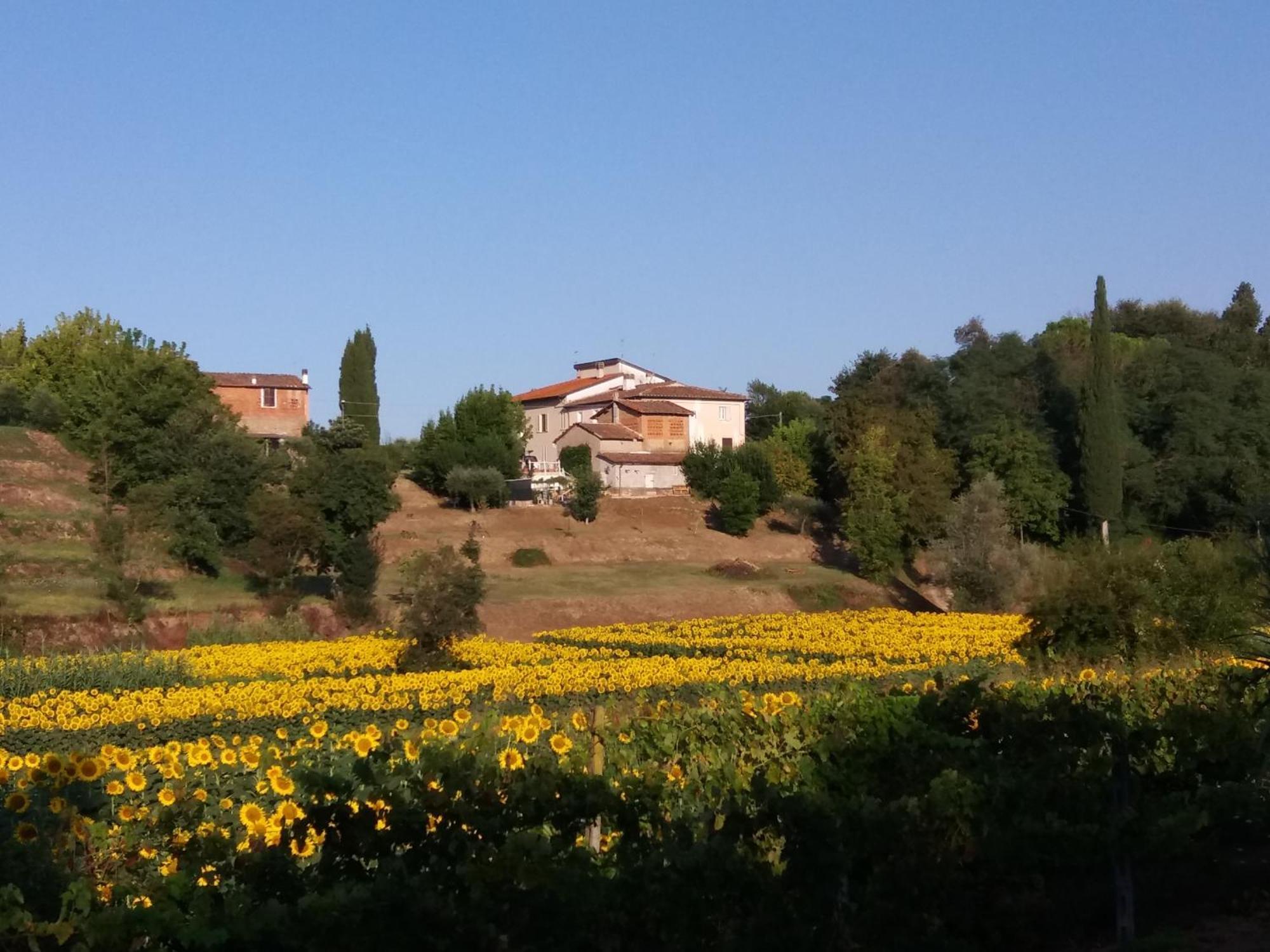 Podere Gian Battaglia 푸체키오 외부 사진