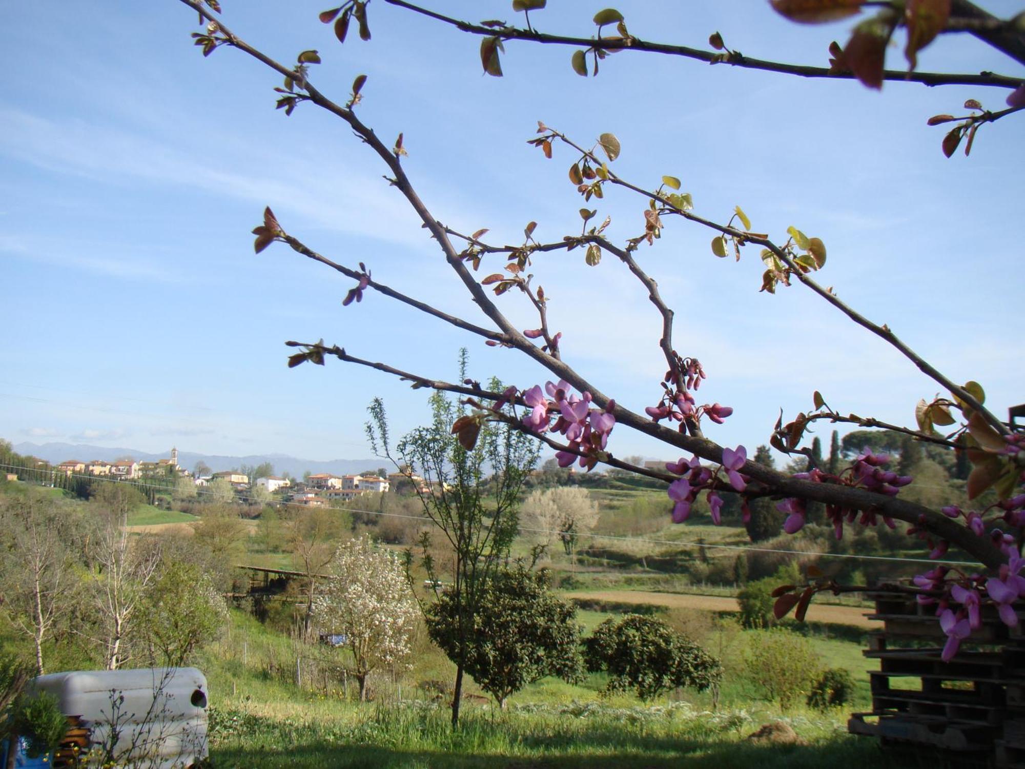 Podere Gian Battaglia 푸체키오 외부 사진